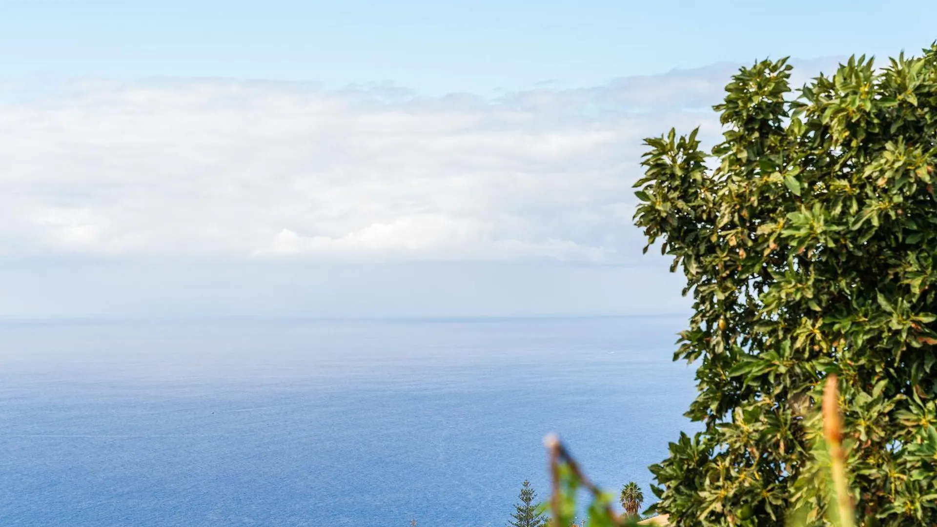 Апартаменты Casa Estrela Dos Reis Estreito Da Calheta